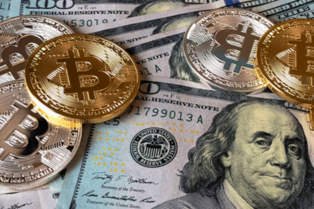 Economics and Finance in Polish Universities